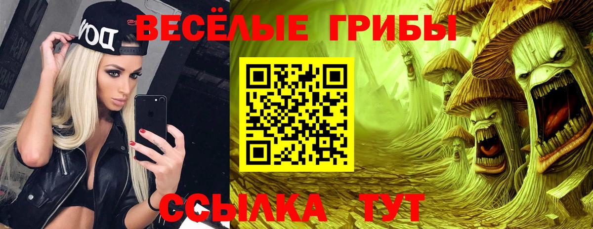 Фрязино  Галлюциногенные грибы Magic Shrooms  Вход с VPN 