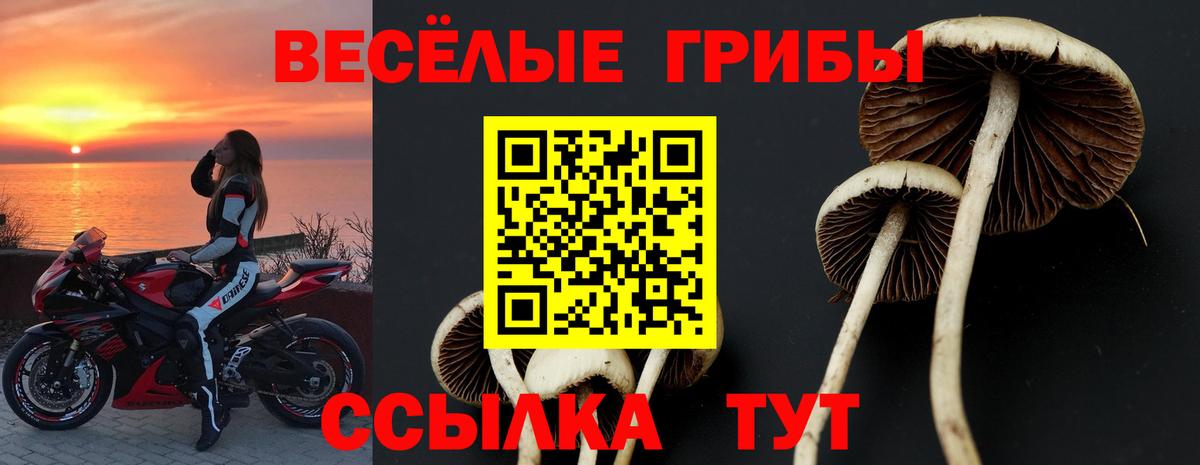 Галлюциногенные грибы Cubensis Фрязино